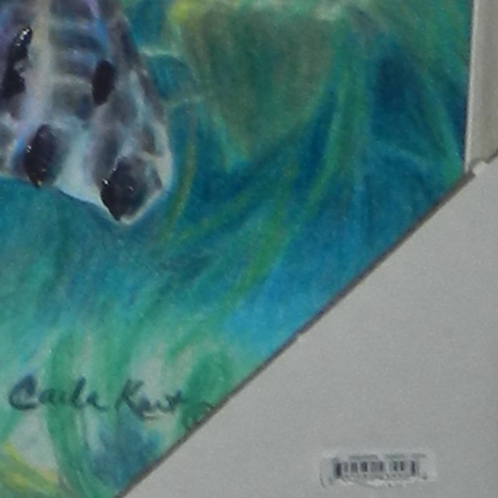 Carla Kurt "Into The Deep Ocean Sea Turtle" Wood Framed Painting Wall Art NWT - Picture 9 of 11